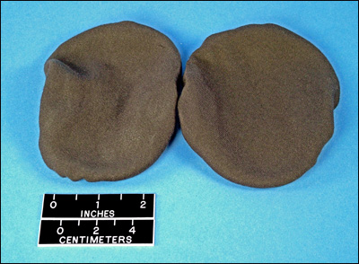 TAH-4 Cloth "Comfort Covers" (pair)
