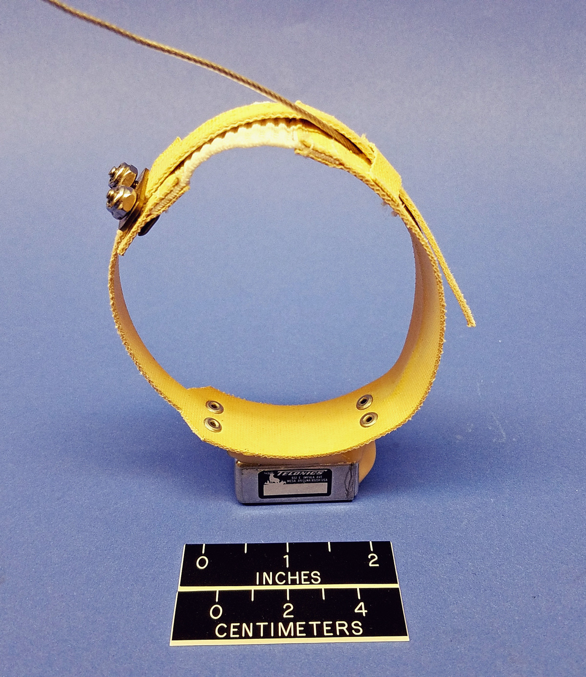 Expansion/Breakaway Collars Telonics Inc.