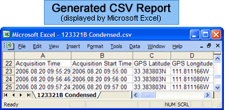 Sample CSV Report