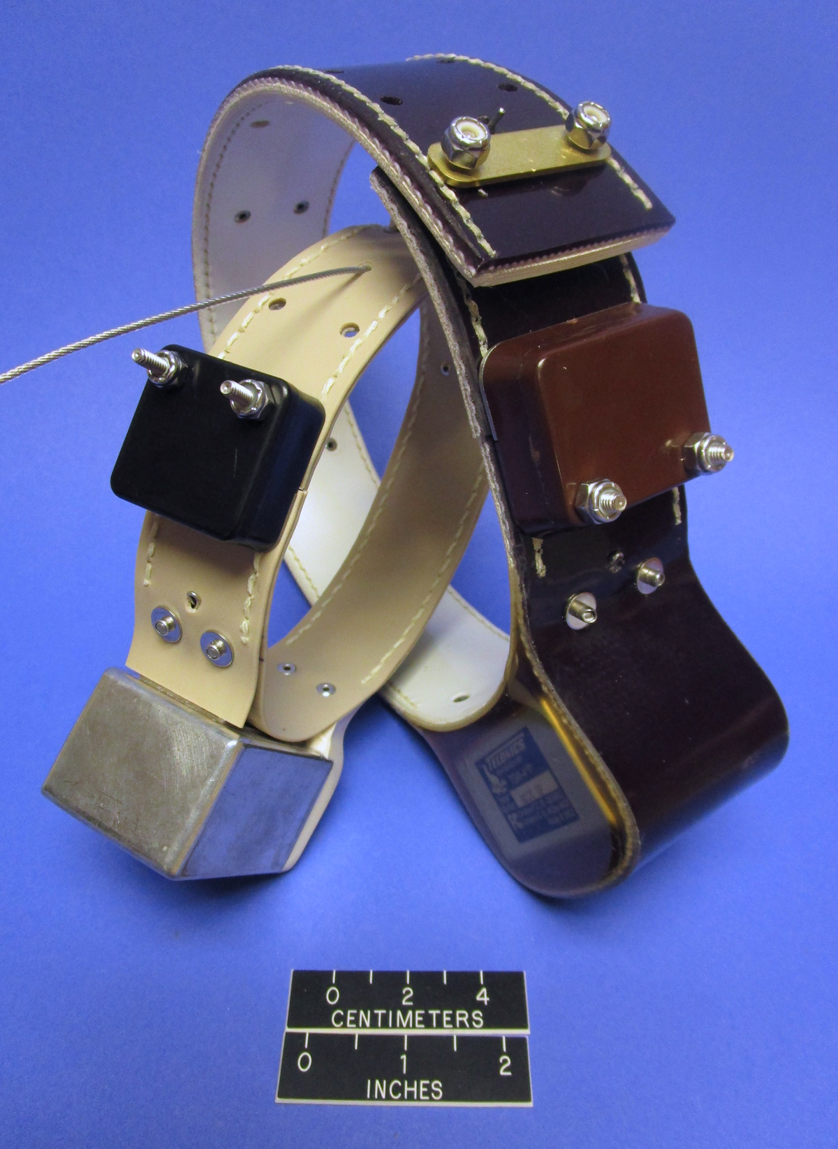 CR-7 on 1.5" collar (left) and CR-5 release on 2" collar (right)