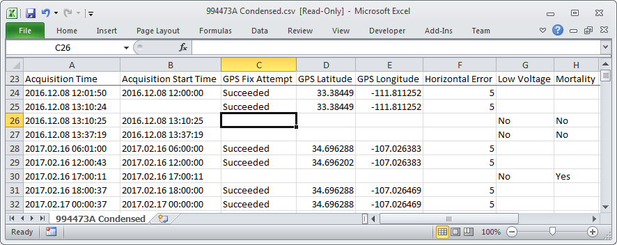 Generated CSV Report (in Excel)