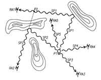 Figure 3 - Thumbnail